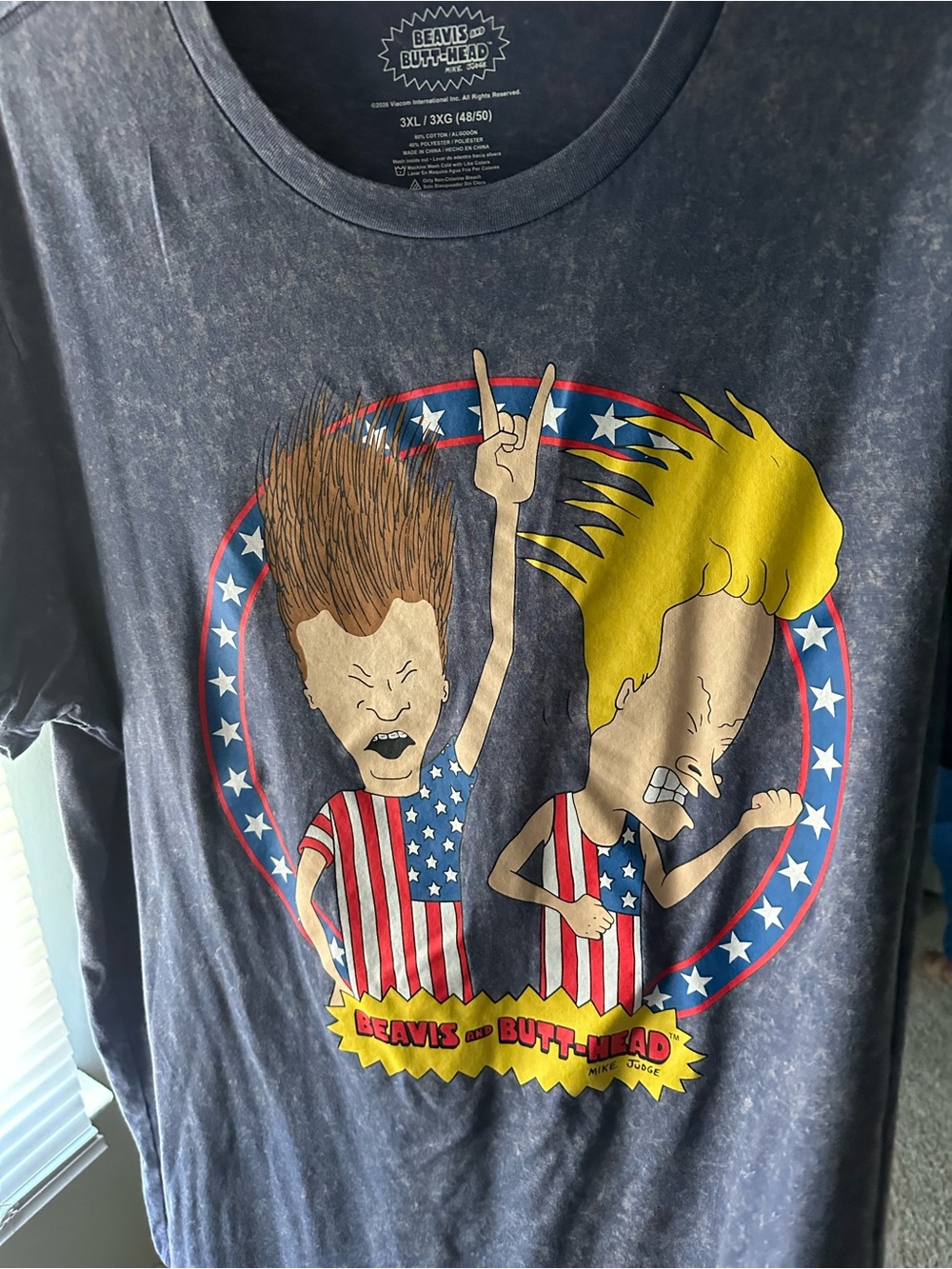 Beavis and Butt-Head Men's & Big Men's Americana Graphic Tee,